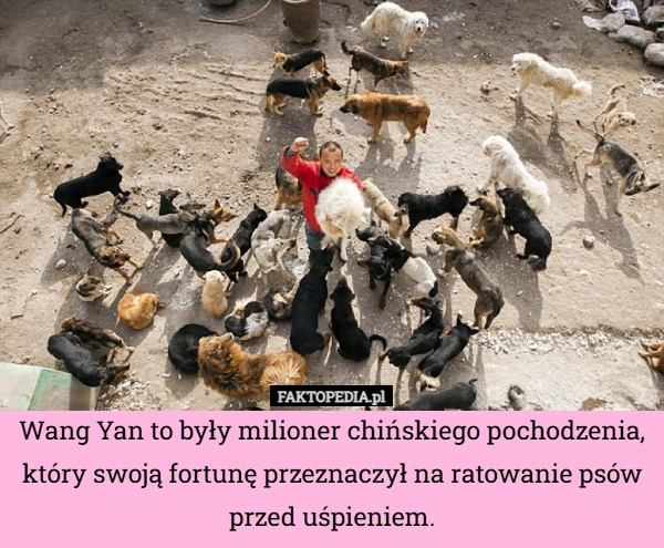 
    Wang Yan to były milioner chińskiego pochodzenia, który swoją fortunę przeznaczył