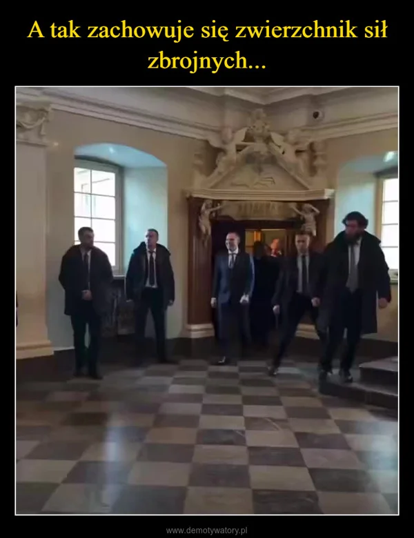 
    A tak zachowuje się zwierzchnik sił zbrojnych...