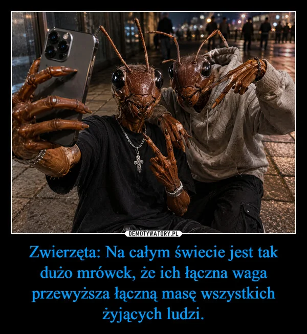 
    Zwierzęta: Na całym świecie jest tak dużo mrówek, że ich łączna waga przewyższa łączną masę wszystkich żyjących ludzi.