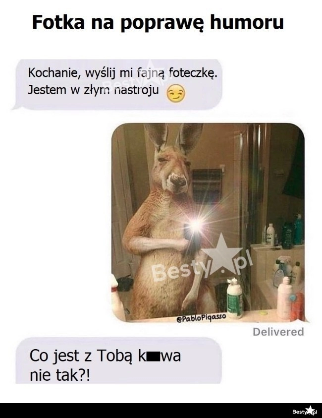 
    Fotka na poprawę humoru 