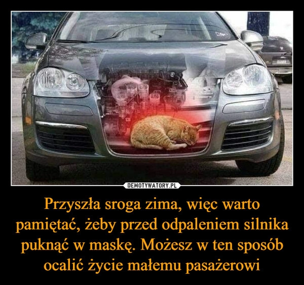 
    
Przyszła sroga zima, więc warto pamiętać, żeby przed odpaleniem silnika puknąć w maskę. Możesz w ten sposób ocalić życie małemu pasażerowi 