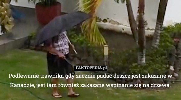 
    Podlewanie trawnika gdy zacznie padać deszcz jest zakazane w Kanadzie, jest