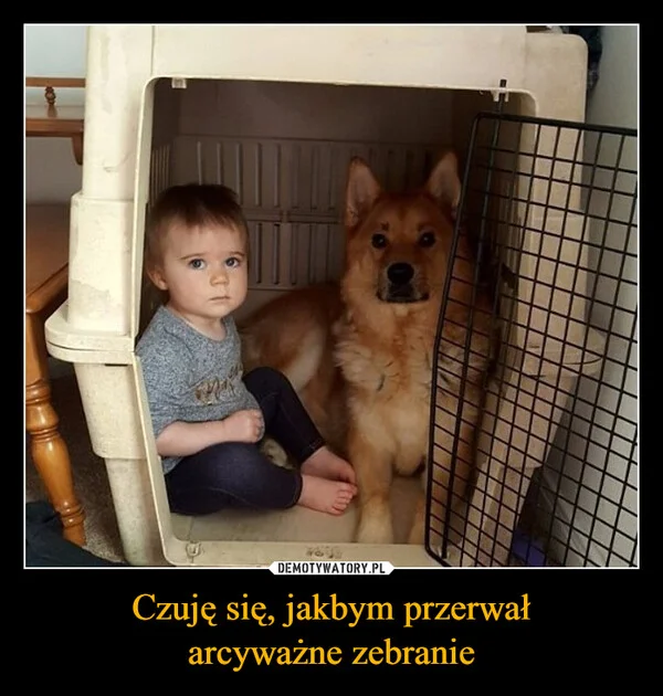 
    Czuję się, jakbym przerwał arcyważne zebranie