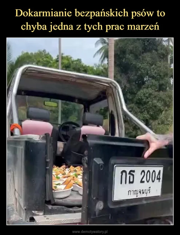 
    Dokarmianie bezpańskich psów to chyba jedna z tych prac marzeń
