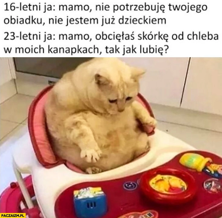 
    Kot 16 letni ja: mamo nie potrzebuję Twojego obiadku nie jestem już dzieckiem, 23 letni ja: mamo obcięłaś skórkę od chleba w moich kanapkach tak jak lubię?