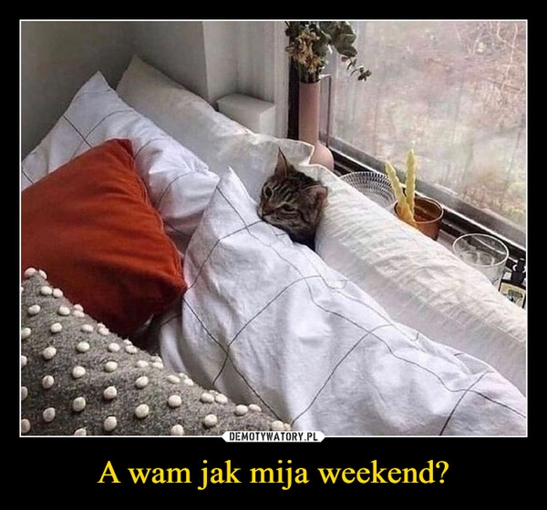 
    A wam jak mija weekend?