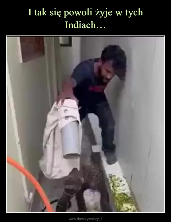 
    I tak się powoli żyje w tych Indiach…