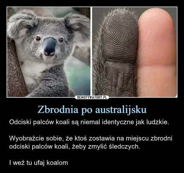 
    Zbrodnia po australijsku