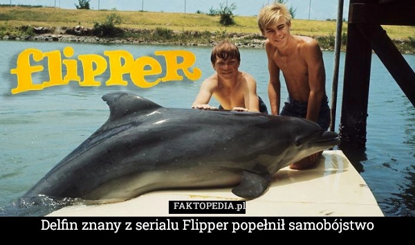 
    Delfin znany z serialu Flipper popełnił samobójstwo