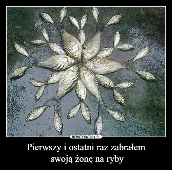 
    Pierwszy i ostatni raz zabrałem swoją żonę na ryby