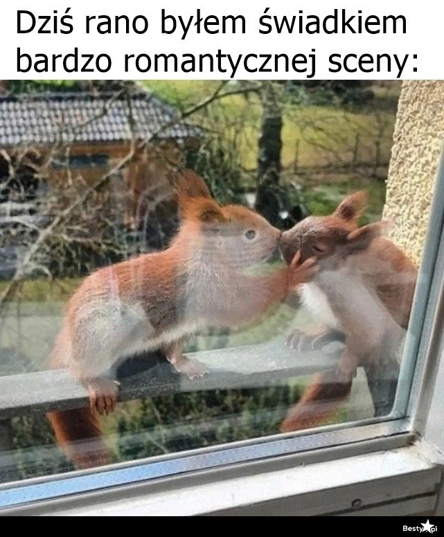 
    Romantyczna scena o poranku 