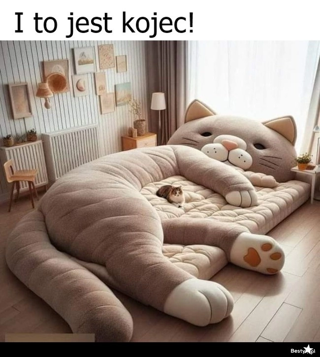 
    Kojec 