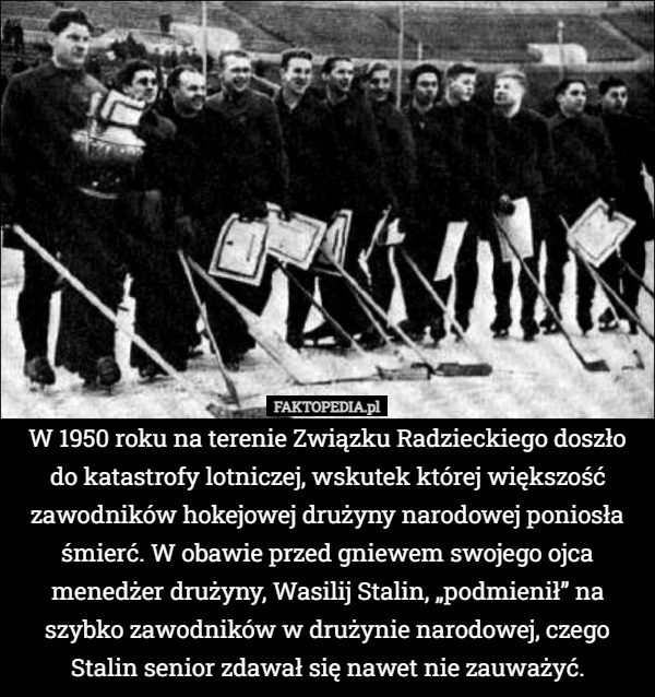 
    W 1950 roku na terenie Związku Radzieckiego doszło do katastrofy lotniczej,