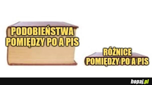 
    Podobieństwa. 