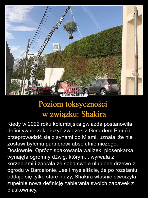 
    Poziom toksyczności w związku: Shakira