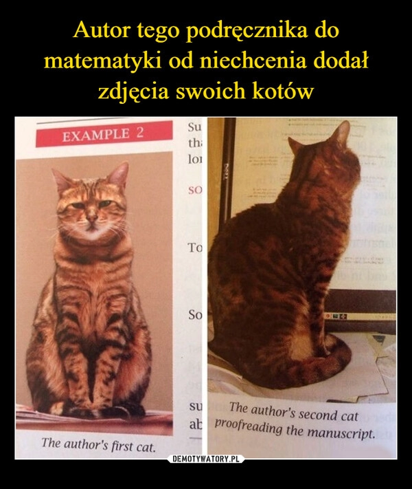 
    Autor tego podręcznika do matematyki od niechcenia dodał zdjęcia swoich kotów