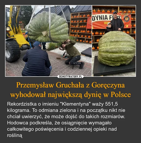 
    Przemysław Gruchała z Goręczyna wyhodował największą dynię w Polsce