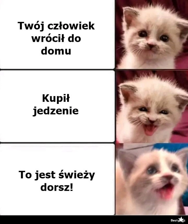 
    Będzie wyżerka 