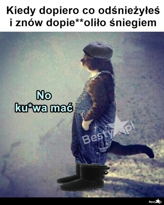 
    No i znowu odśnieżaj 