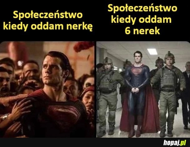 
    Nerki