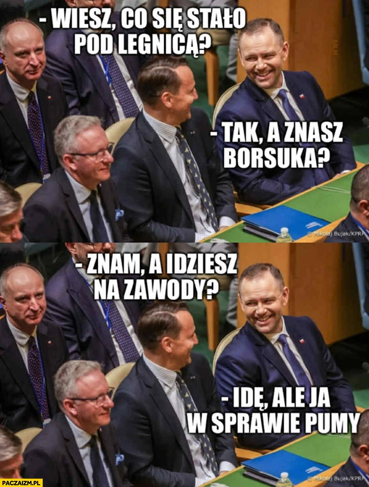 
    Sikorski Nawrocki wiesz co się stało pod Legnicą? Tak, a znasz borsuka, znam, a idziesz na zawody? Idę, ale ja w sprawie pumy