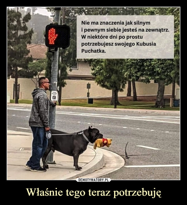 
    Właśnie tego teraz potrzebuję