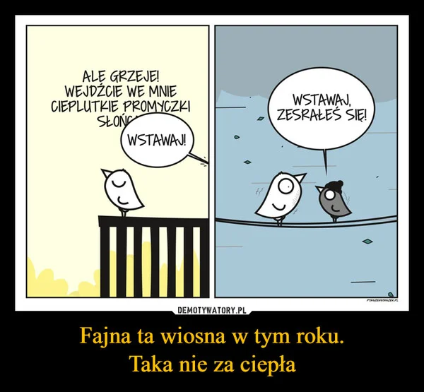 
    Fajna ta wiosna w tym roku. Taka nie za ciepła