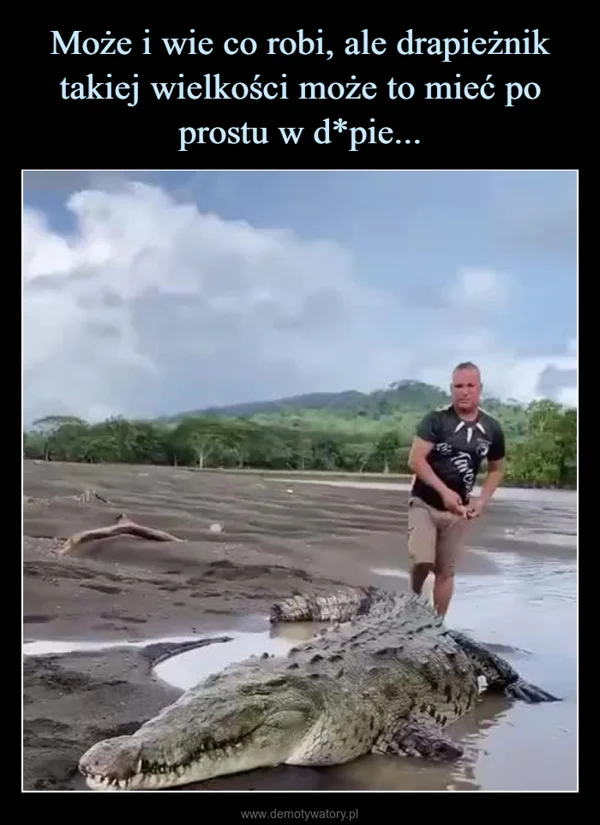 
    Może i wie co robi, ale drapieżnik takiej wielkości może to mieć po prostu w d*pie...