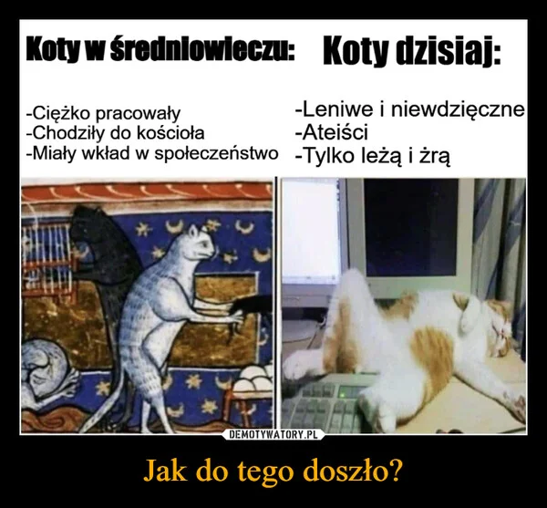 Jak do tego doszło?