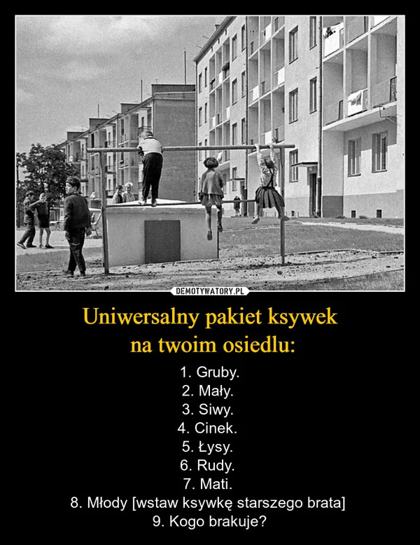 
    Uniwersalny pakiet ksywek na twoim osiedlu: