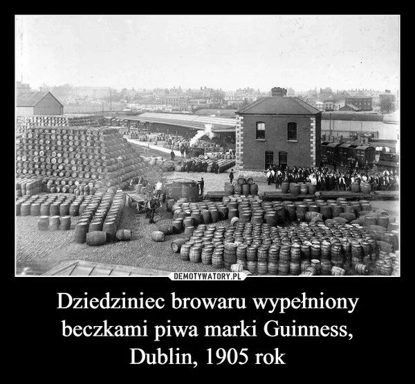 
    Dziedziniec browaru wypełniony beczkami piwa marki Guinness, Dublin, 1905 rok