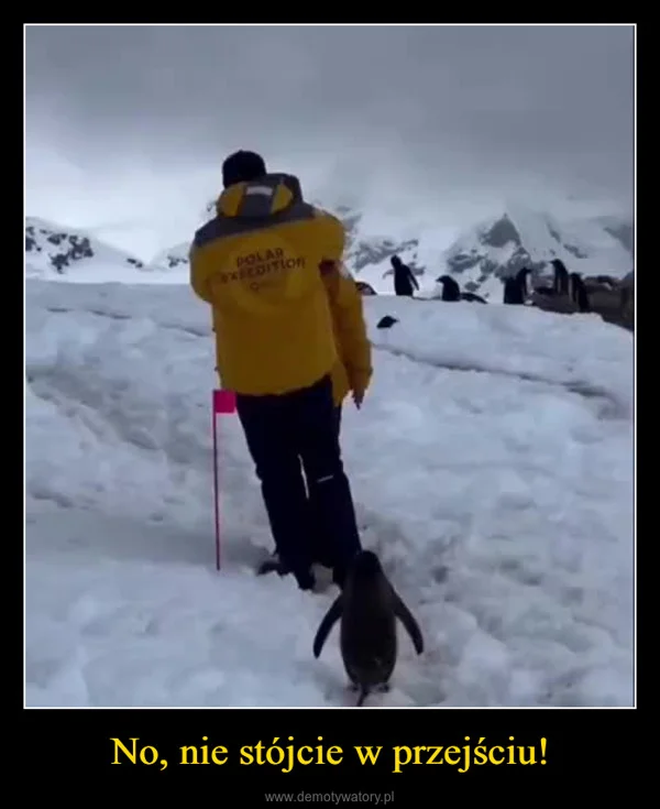 
    No, nie stójcie w przejściu!