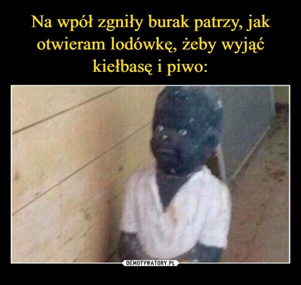 
    Na wpół zgniły burak patrzy, jak otwieram lodówkę, żeby wyjąć kiełbasę i piwo: