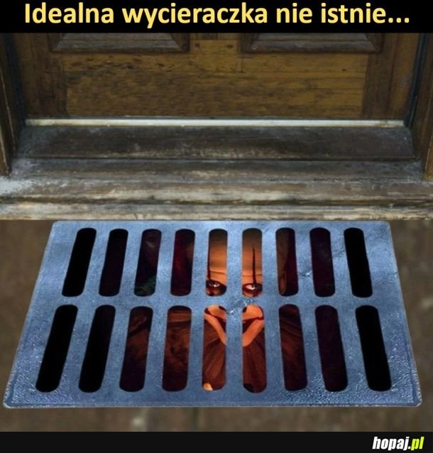 
    Idealna wycieraczka