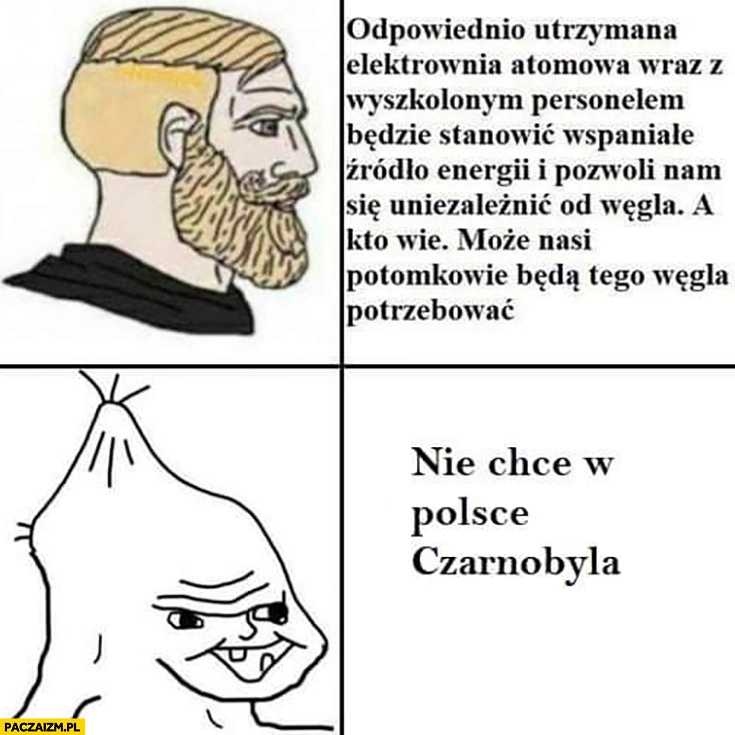 
    Elektrownia atomowa nie chce w Polsce Czarnobyla upośledzony