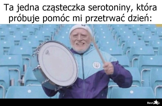 
    Ta jedna cząsteczka serotoniny 