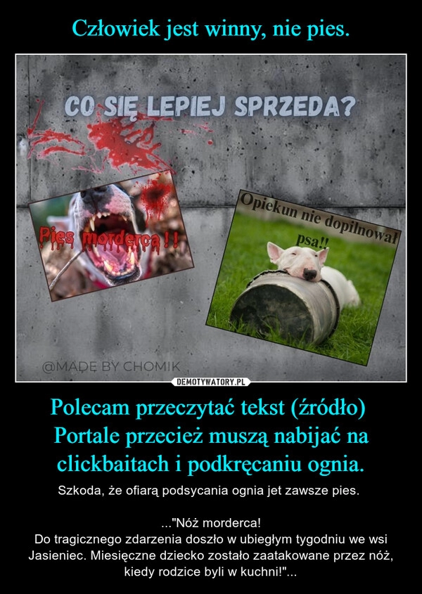 
    Człowiek jest winny, nie pies. Polecam przeczytać tekst (źródło) 
Portale przecież muszą nabijać na clickbaitach i podkręcaniu ognia.