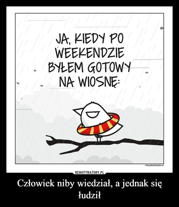 
    Człowiek niby wiedział, a jednak się łudził