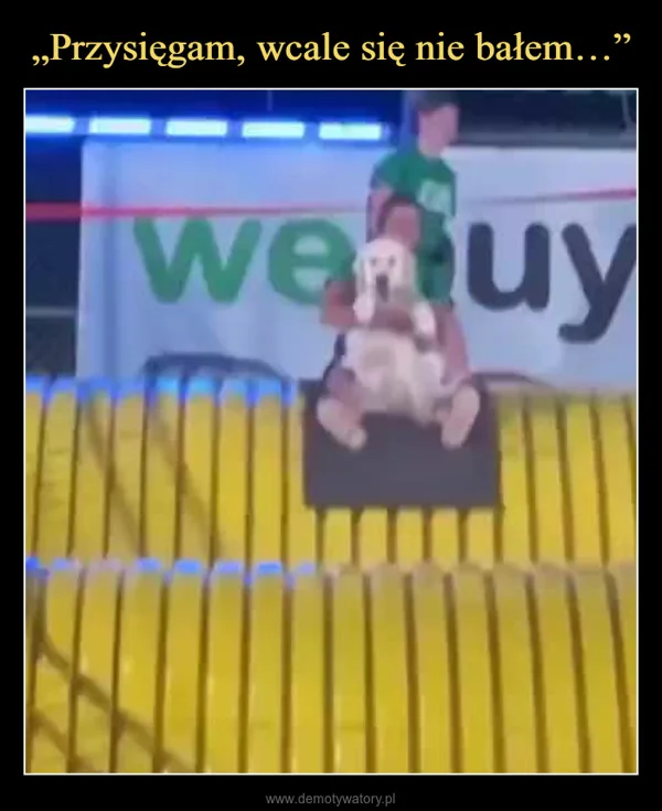 
    „Przysięgam, wcale się nie bałem…”