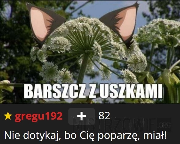 
    
			Barszcz					