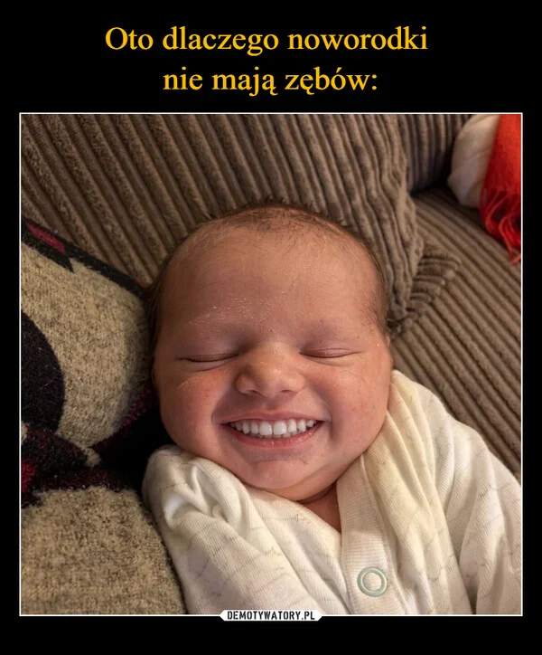
    Oto dlaczego noworodki nie mają zębów: