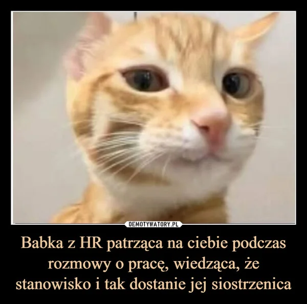 
    Babka z HR patrząca na ciebie podczas rozmowy o pracę, wiedząca, że stanowisko i tak dostanie jej siostrzenica