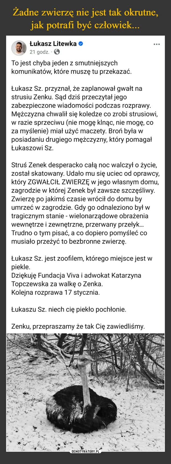 
    Żadne zwierzę nie jest tak okrutne, jak potrafi być człowiek...