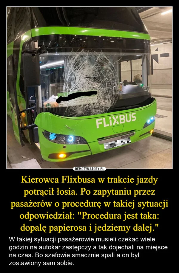 
    Kierowca Flixbusa w trakcie jazdy potrącił łosia. Po zapytaniu przez pasażerów o procedurę w takiej sytuacji odpowiedział: 