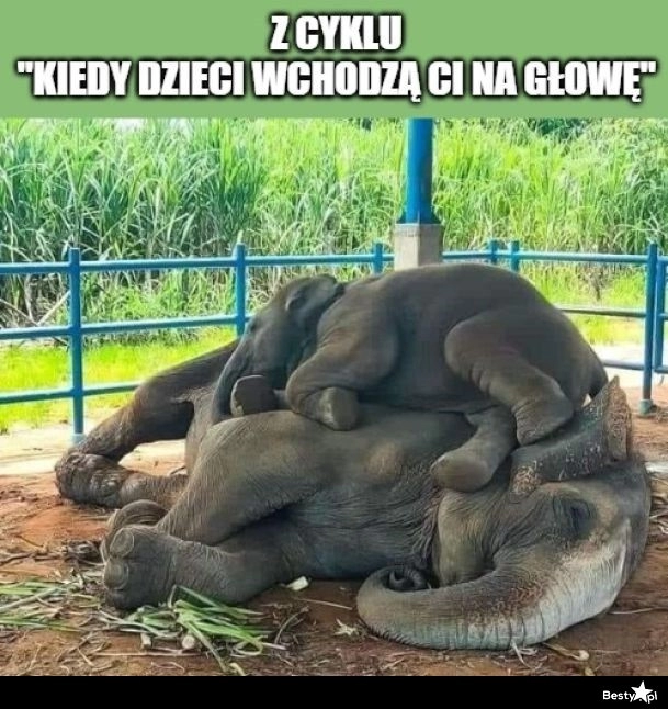 
    Kiedy dzieci wchodzą ci na głowę 