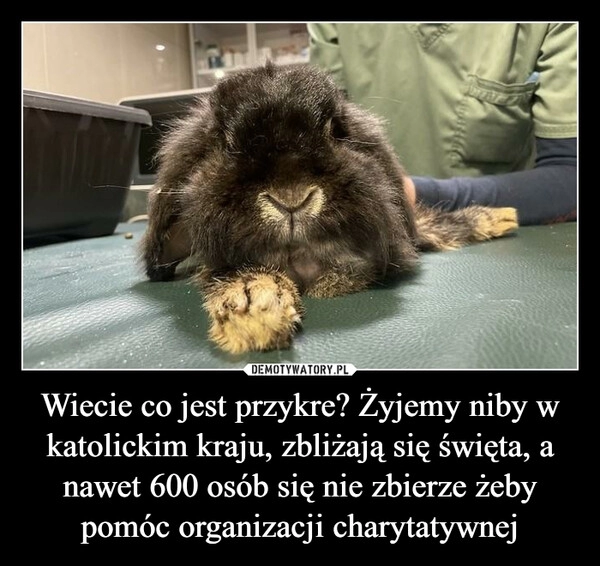 
    
Wiecie co jest przykre? Żyjemy niby w katolickim kraju, zbliżają się święta, a nawet 600 osób się nie zbierze żeby pomóc organizacji charytatywnej 