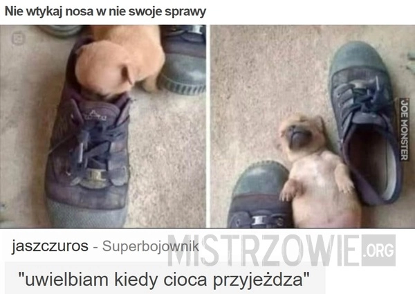 
    Nie wtykaj nosa w nie swoje sprawy