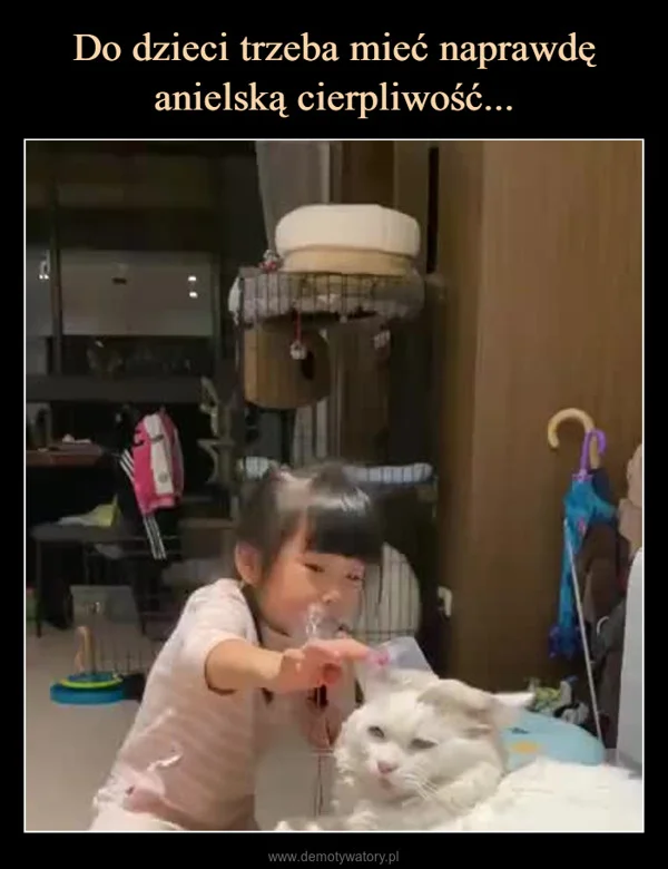 Do dzieci trzeba mieć naprawdę anielską cierpliwość...