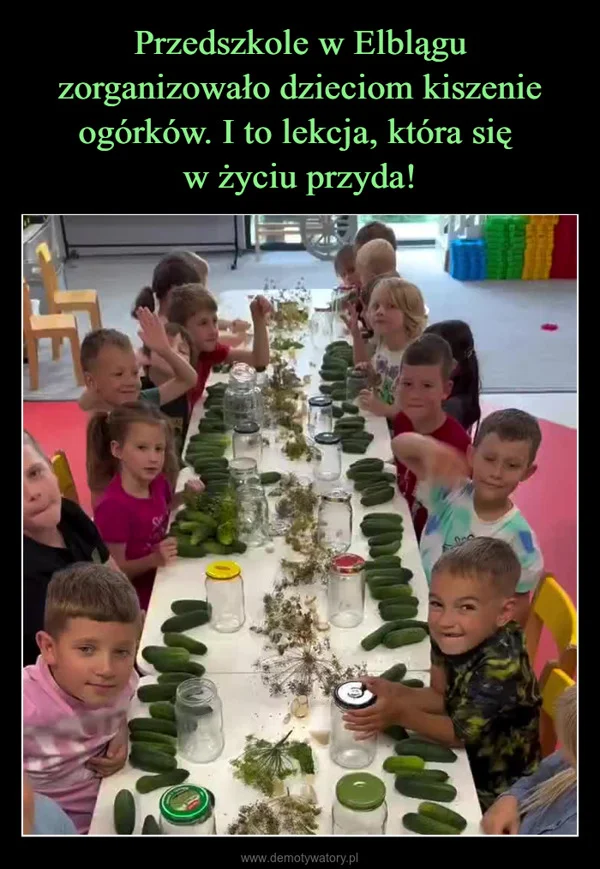 
    Przedszkole w Elblągu zorganizowało dzieciom kiszenie ogórków. I to lekcja, która się w życiu przyda!