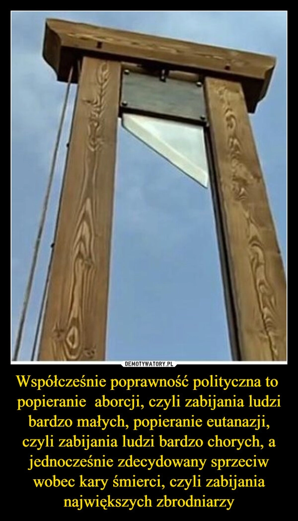 
    Współcześnie poprawność polityczna to  popieranie  aborcji, czyli zabijania ludzi bardzo małych, popieranie eutanazji, czyli zabijania ludzi bardzo chorych, a jednocześnie zdecydowany sprzeciw wobec kary śmierci, czyli zabijania największych zbrodniarzy